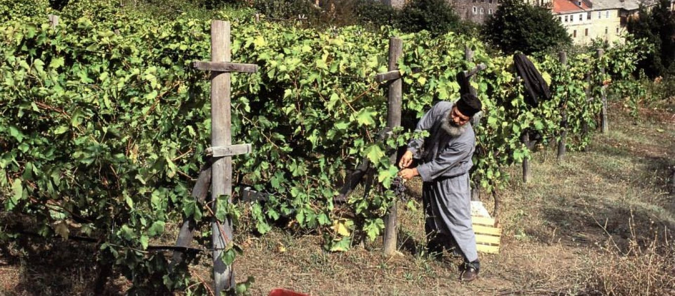 Τρεις μέρες στην έρημο του Αγίου Όρους - Ένα ξεχωριστό οδοιπορικό στο Περιβόλι της Παναγίας (βίντεο)